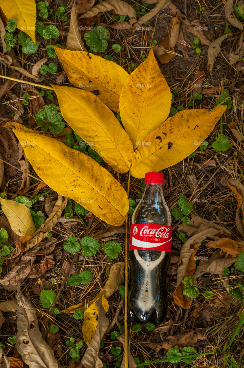 Coca Cola and wonderful yellow leave 