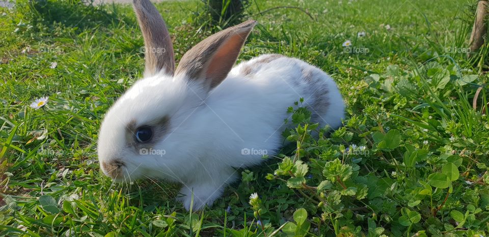 Isn't it nice to go out.