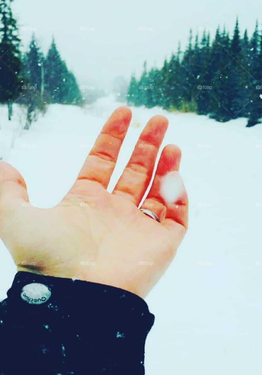 my hand under the snow