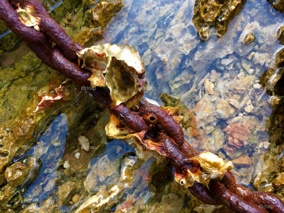 detail of old rusty chains of mooring