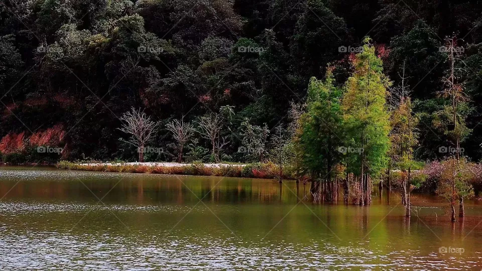 Green Lake