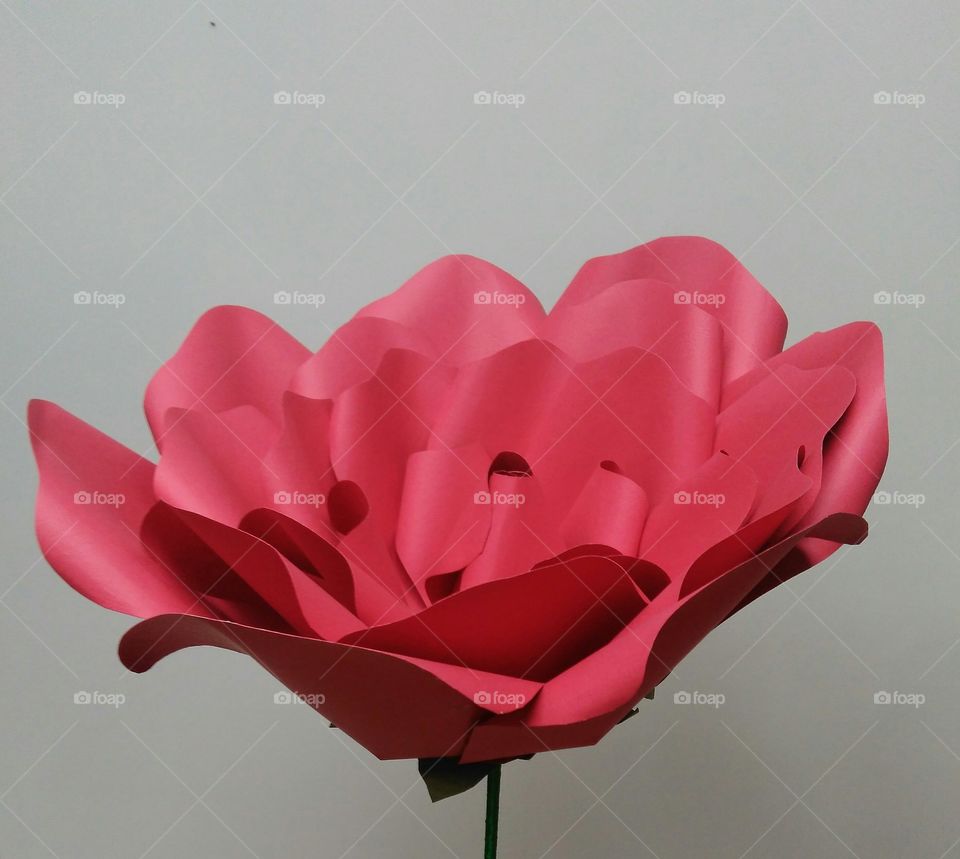 #flower #paperflower #paper #art #rose #new