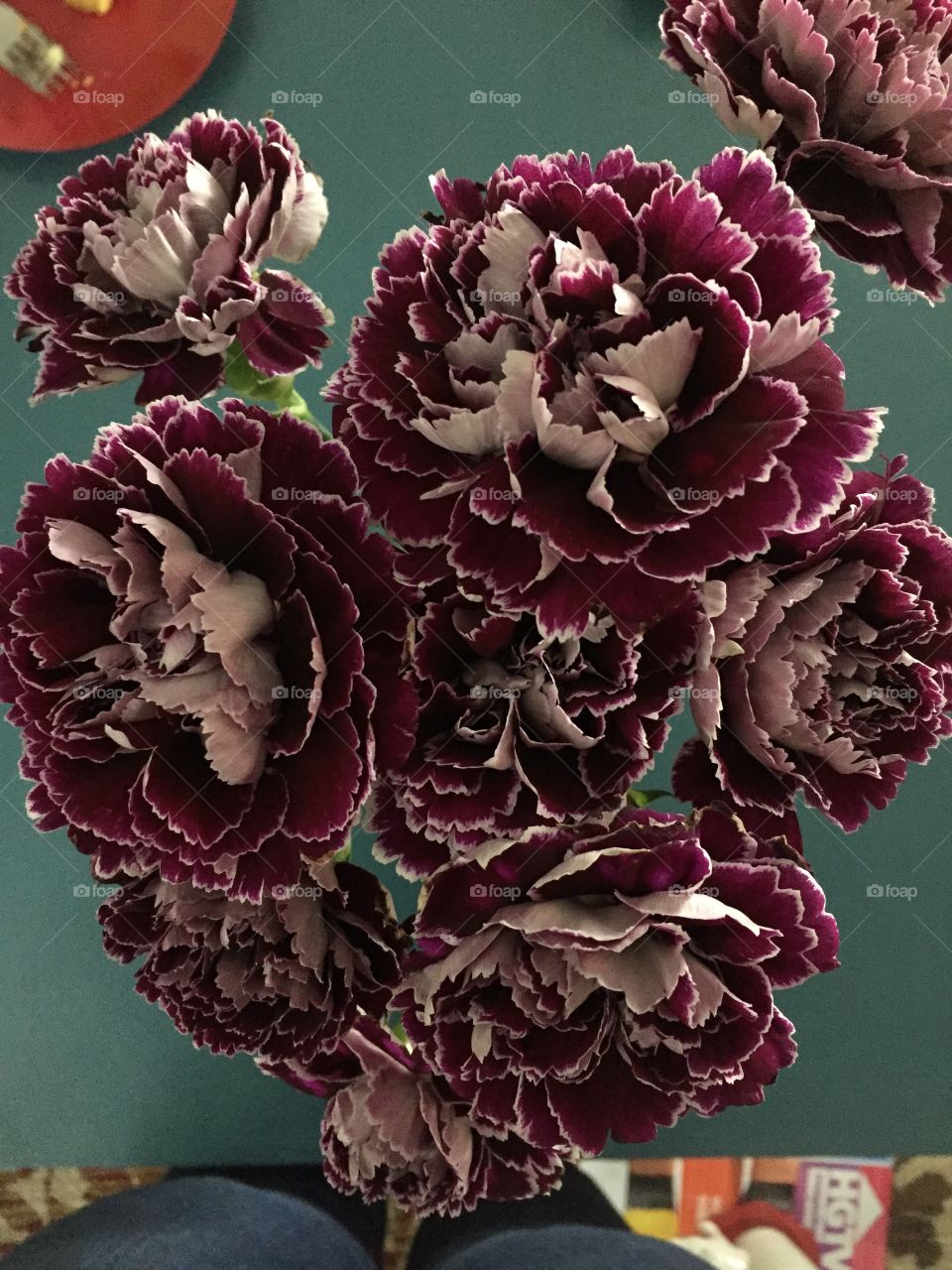 Top view of flowers. 
