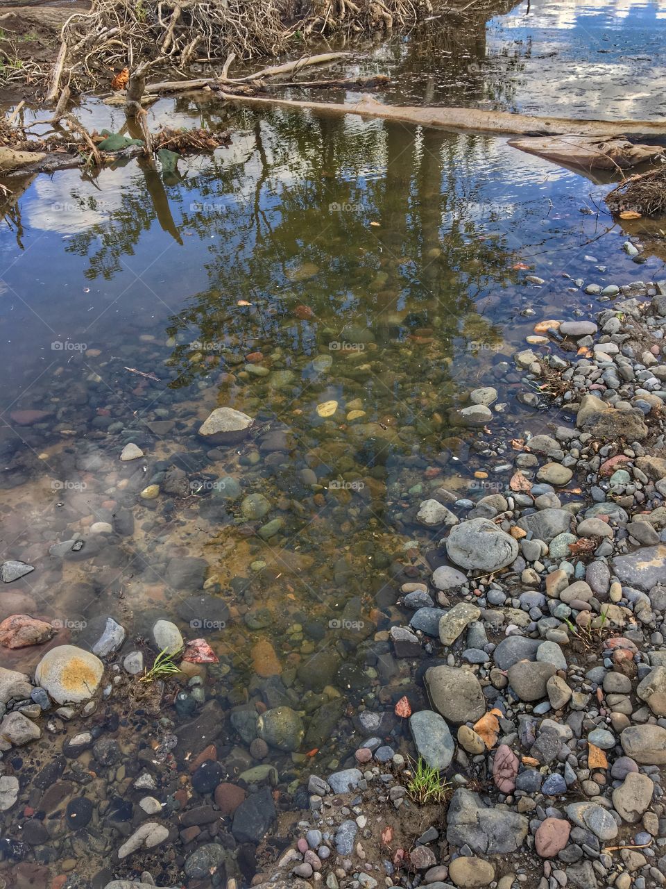 Water reflection 