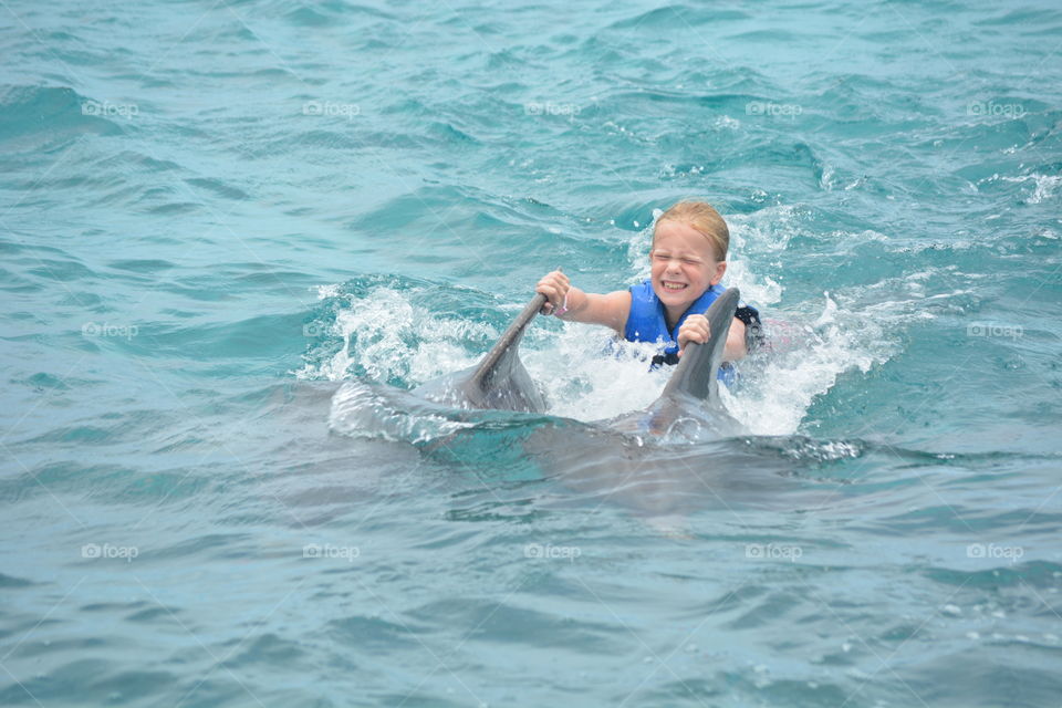 Swimming with dolphins