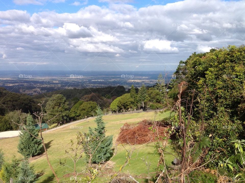 Tasmanian hillside 