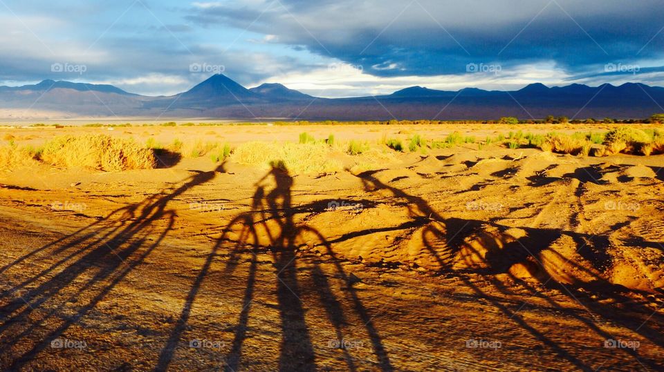 Biking the desert with friends. Biking the dry roads of Atacama desert with friends