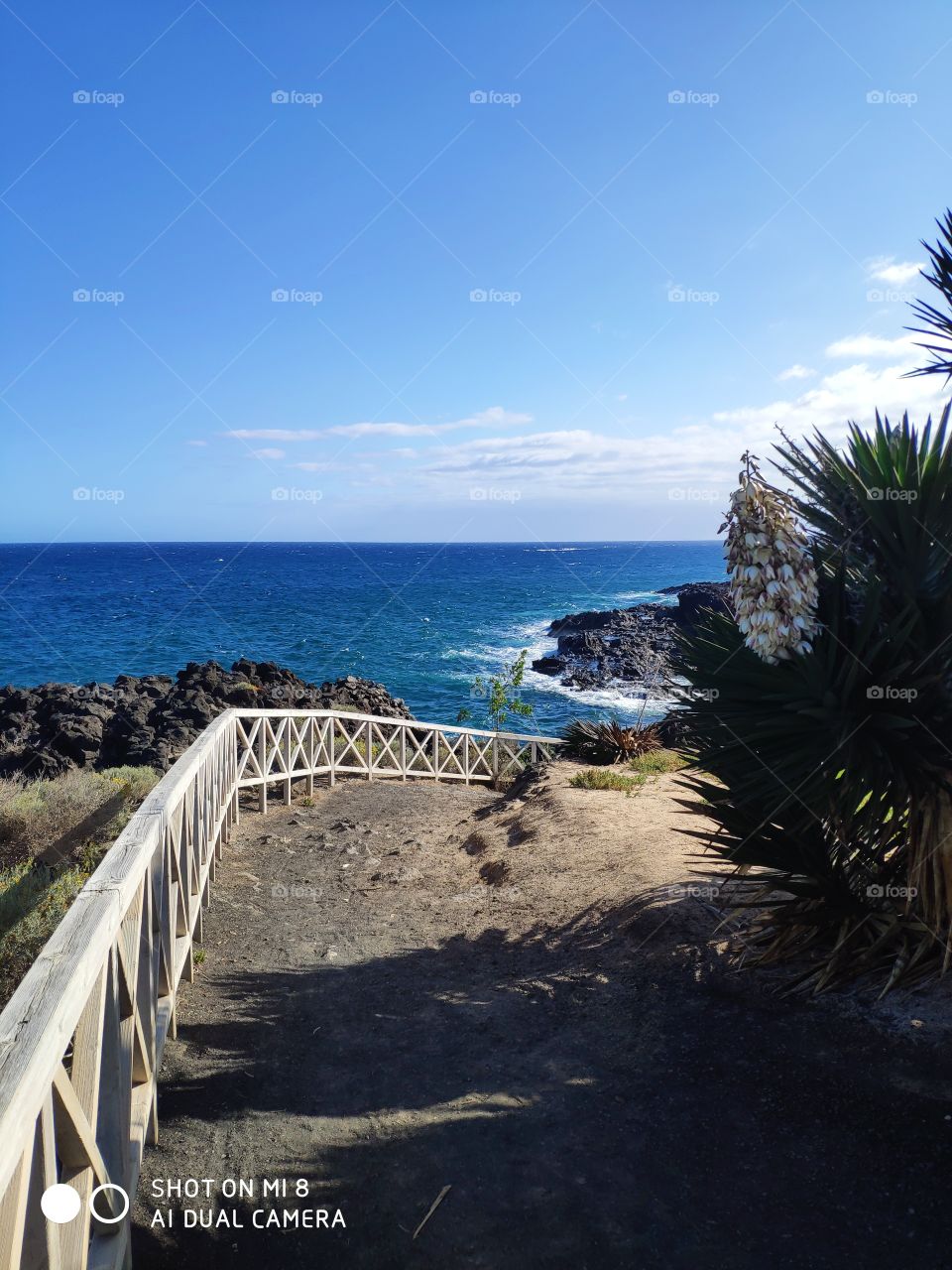 holiday path Tenerife
