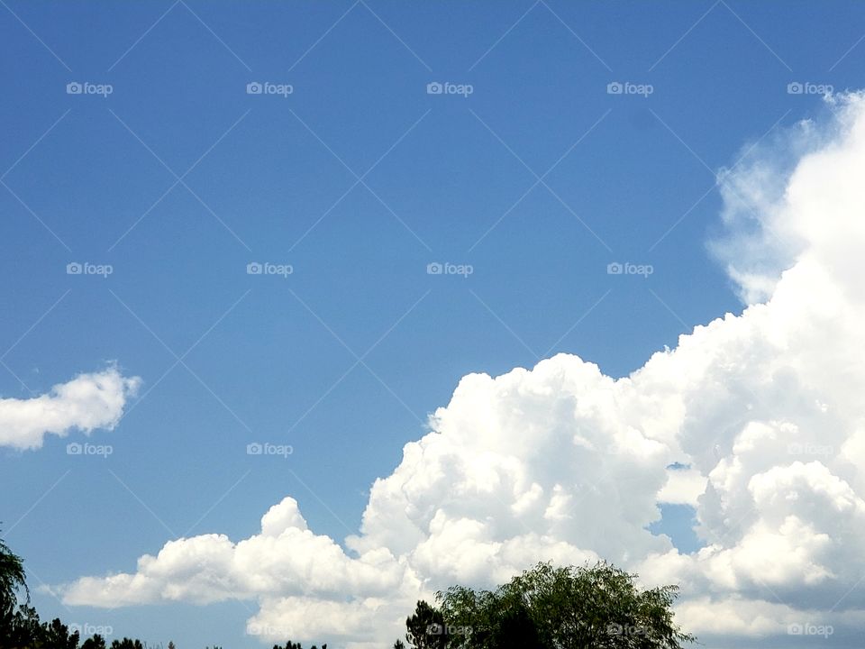 Puffy Clouds