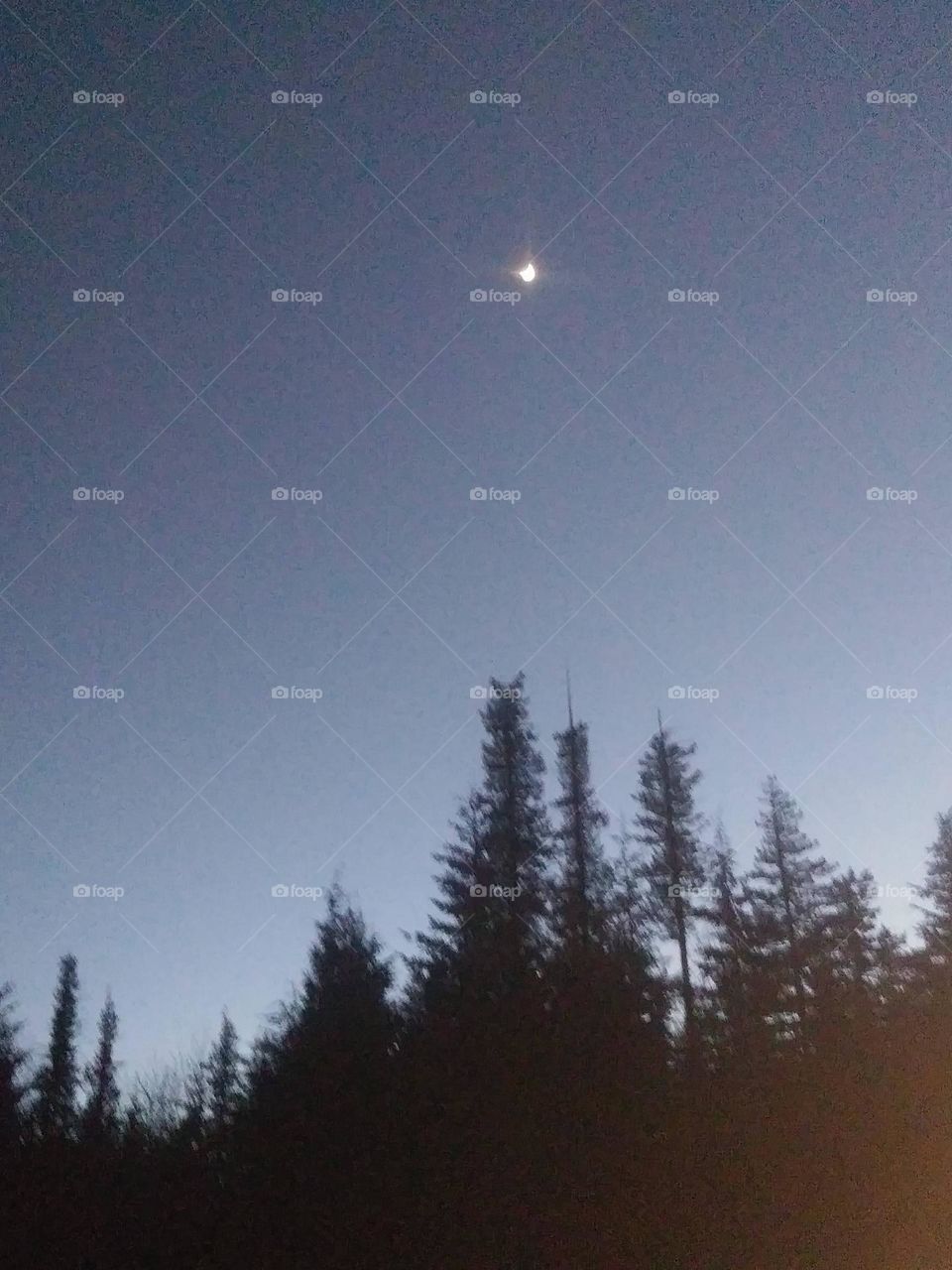 starlight, star bright