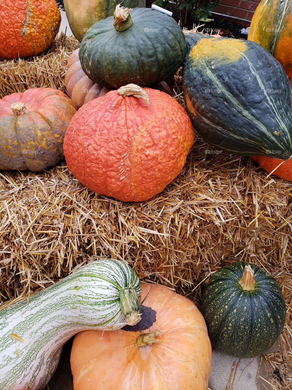 brightly colored gourds and pumpkins on haystacks