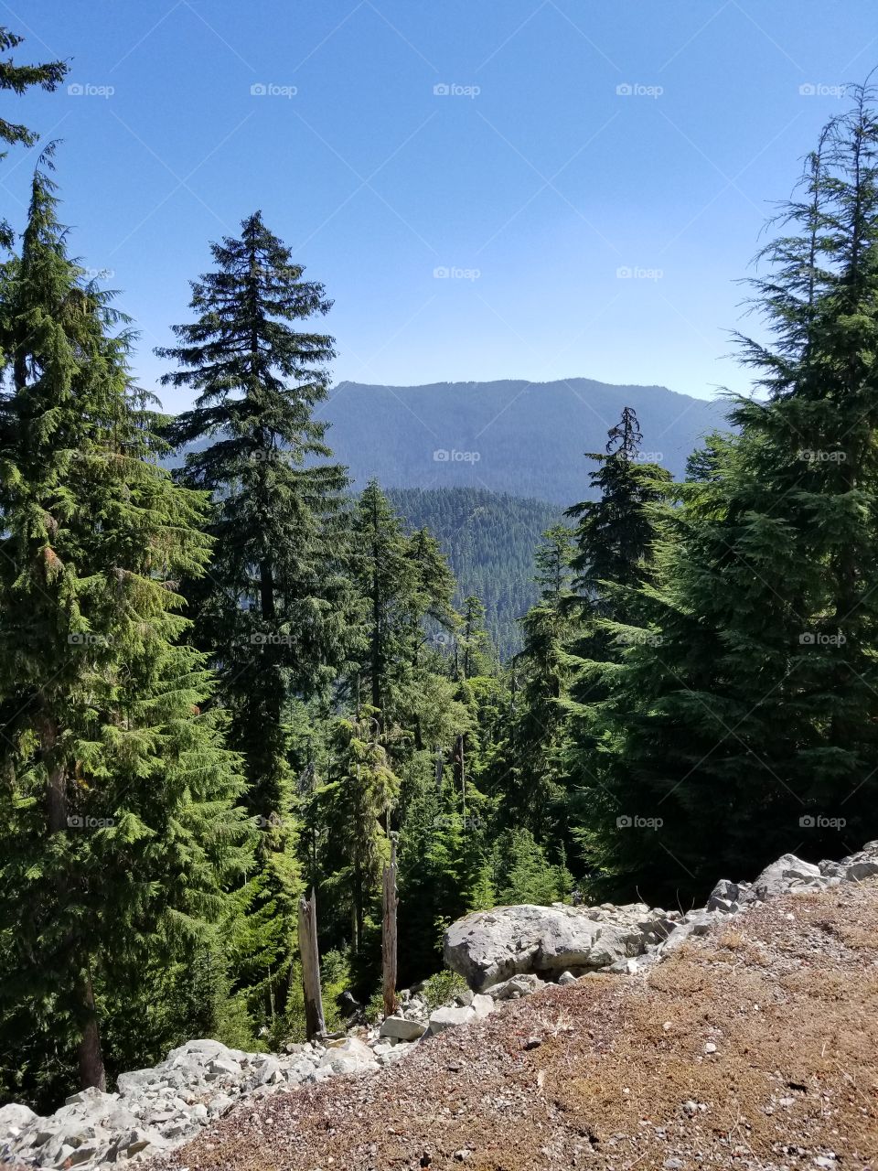 Willamette National Forest, OR