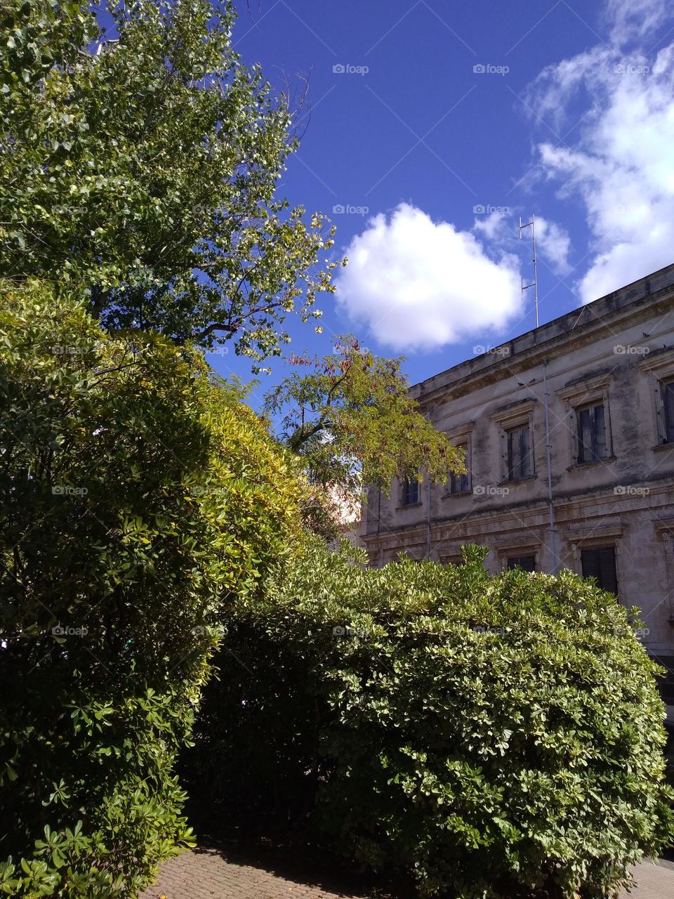 Battle: Countryside vs City