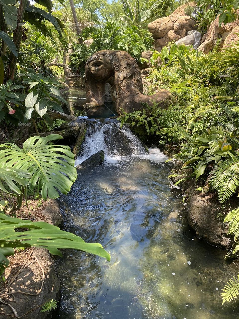 Peaceful Environment to Meditate In