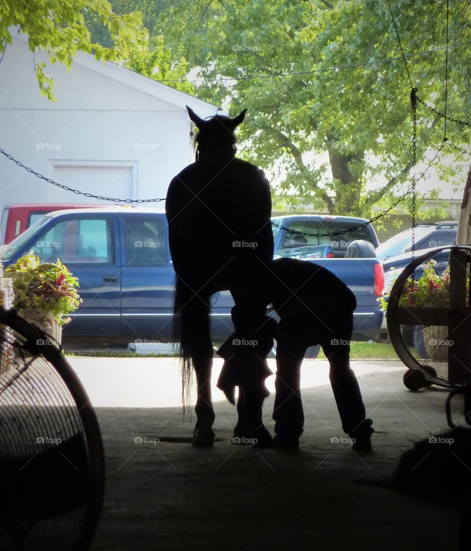 Put a Little Shine on Those Hooves