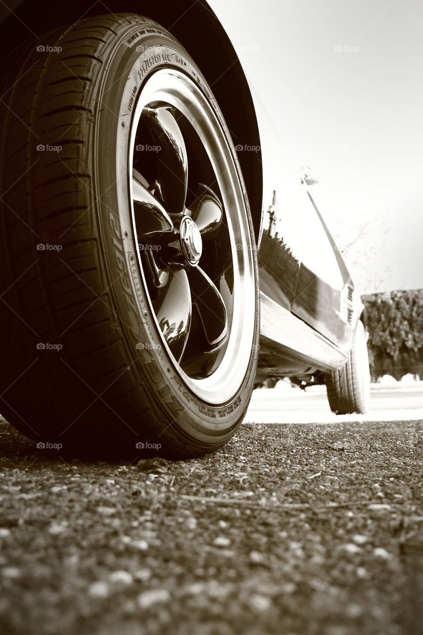 tire of a mustang