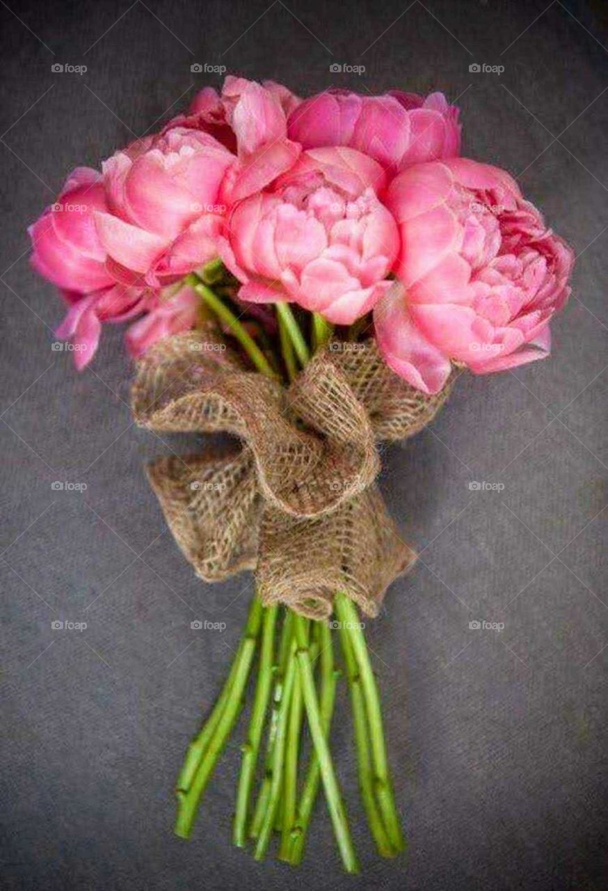 Bouquet of peonies