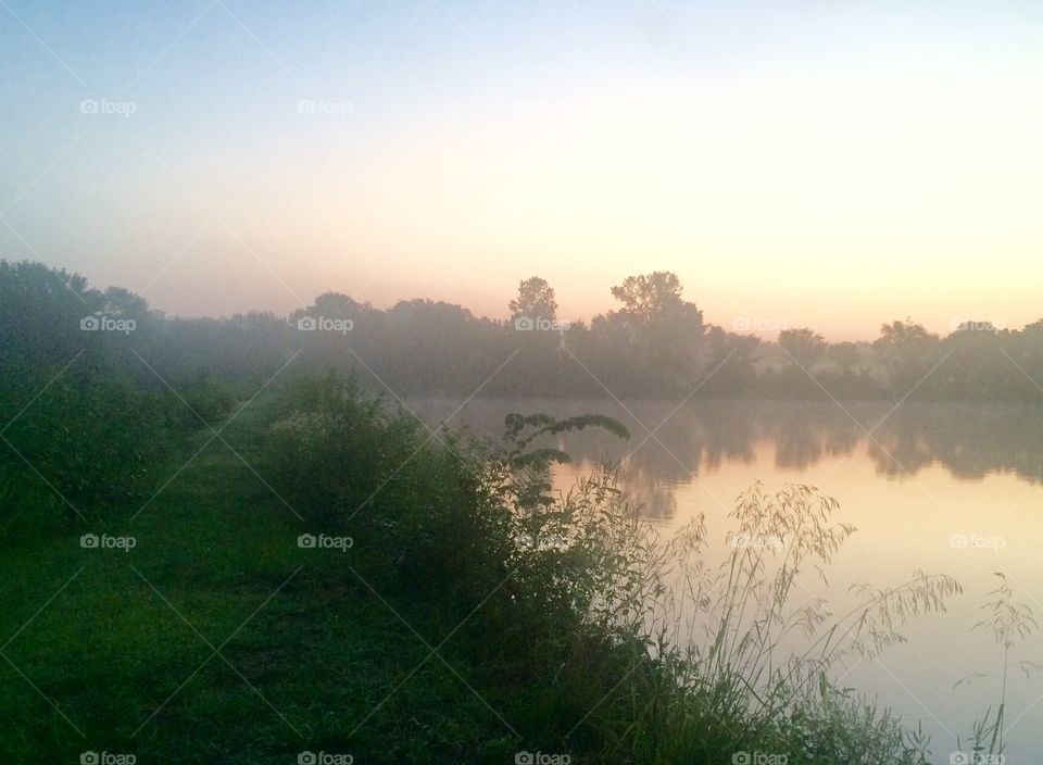 Fog on the Lake Shore