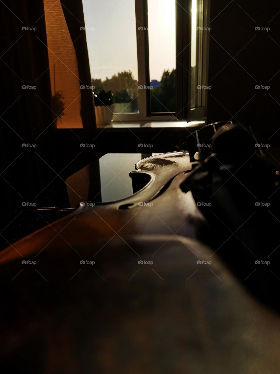 The viola is a philosopher's instrument