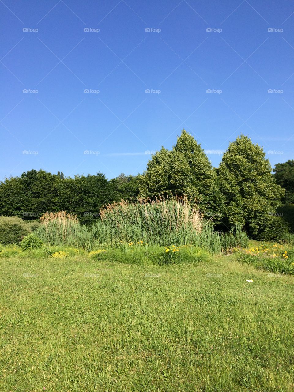 Park in Stuttgart 