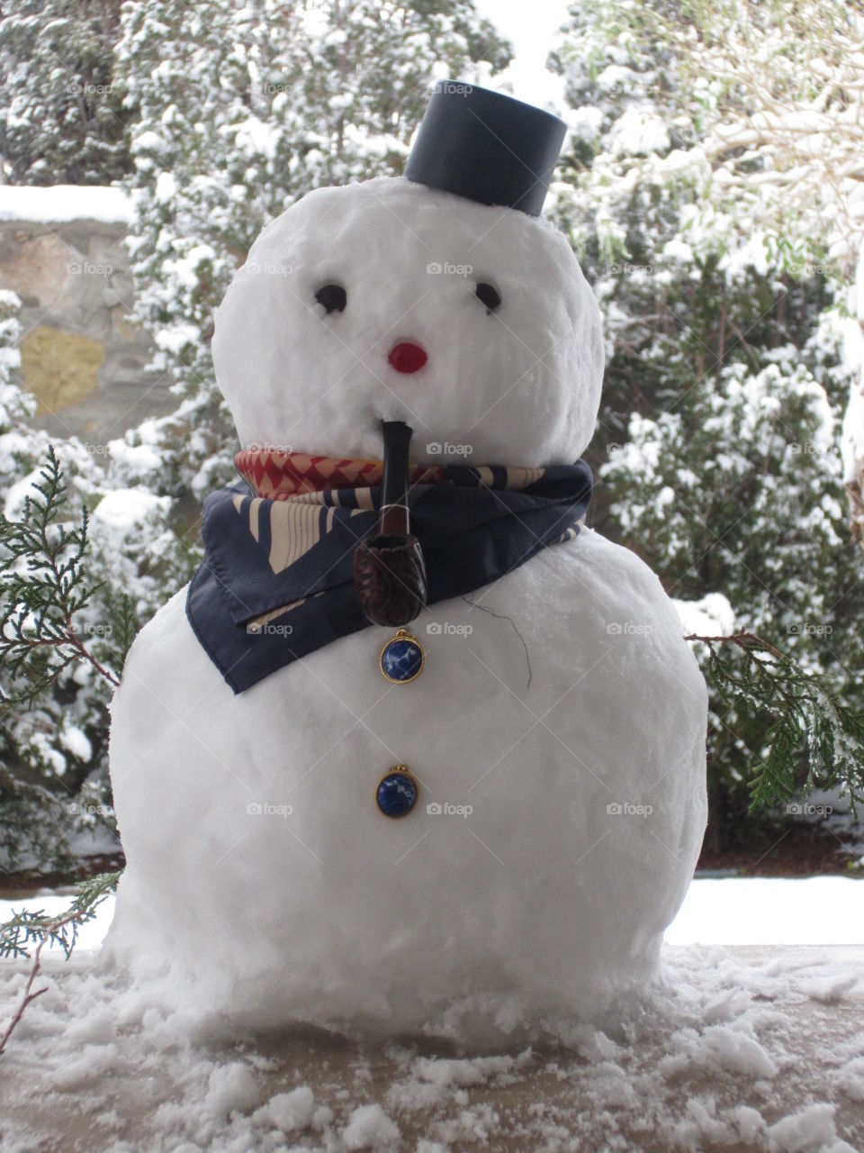 Little Snowman with Hat, Scarf and Pipe. Snowy Junipers in Background