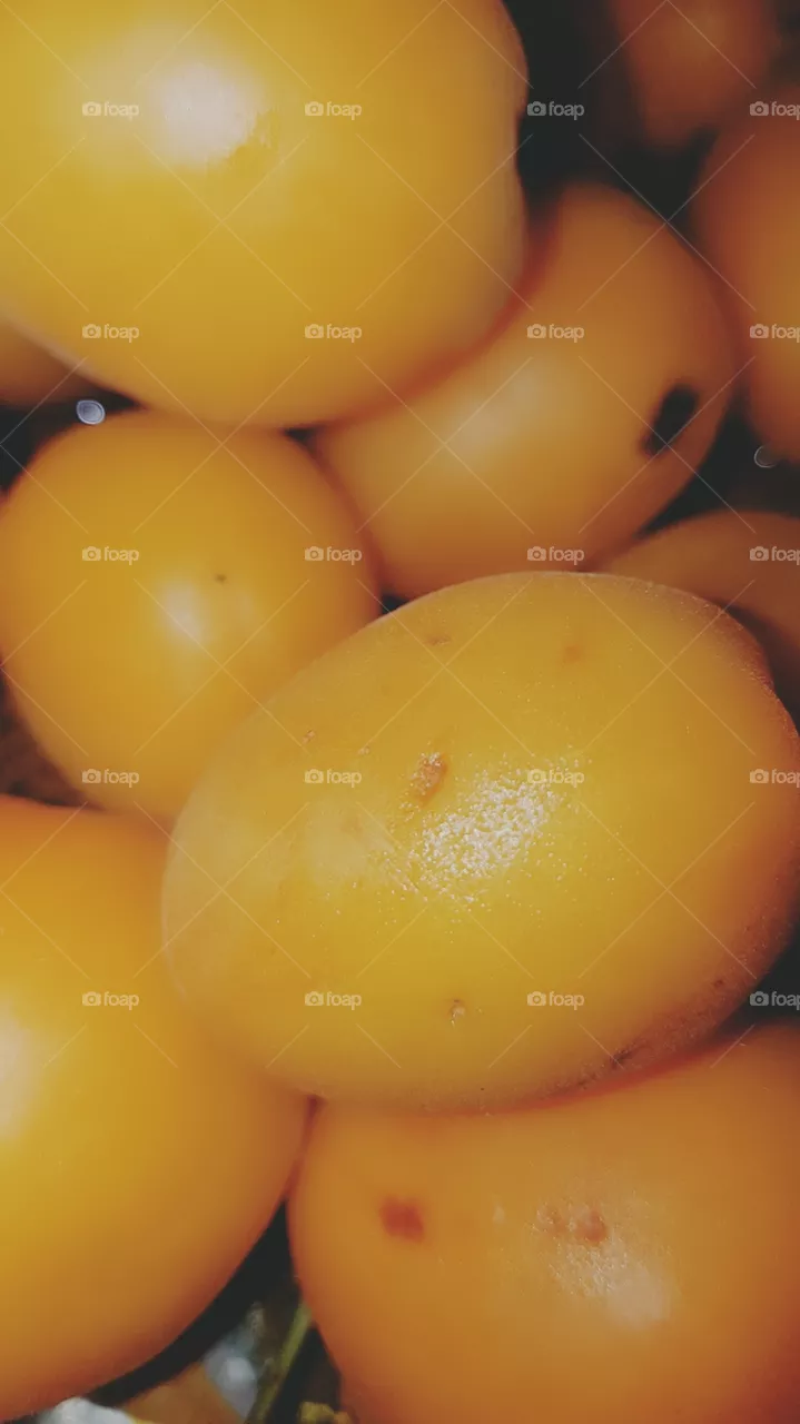 apricot