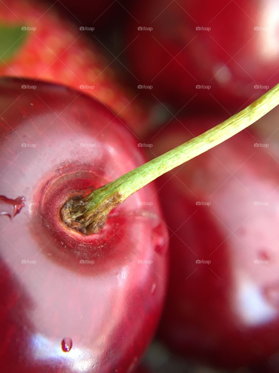 Red cherry in macro 