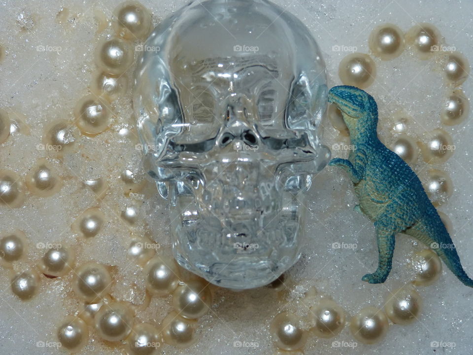 skull, dinosaur, snow, pearls