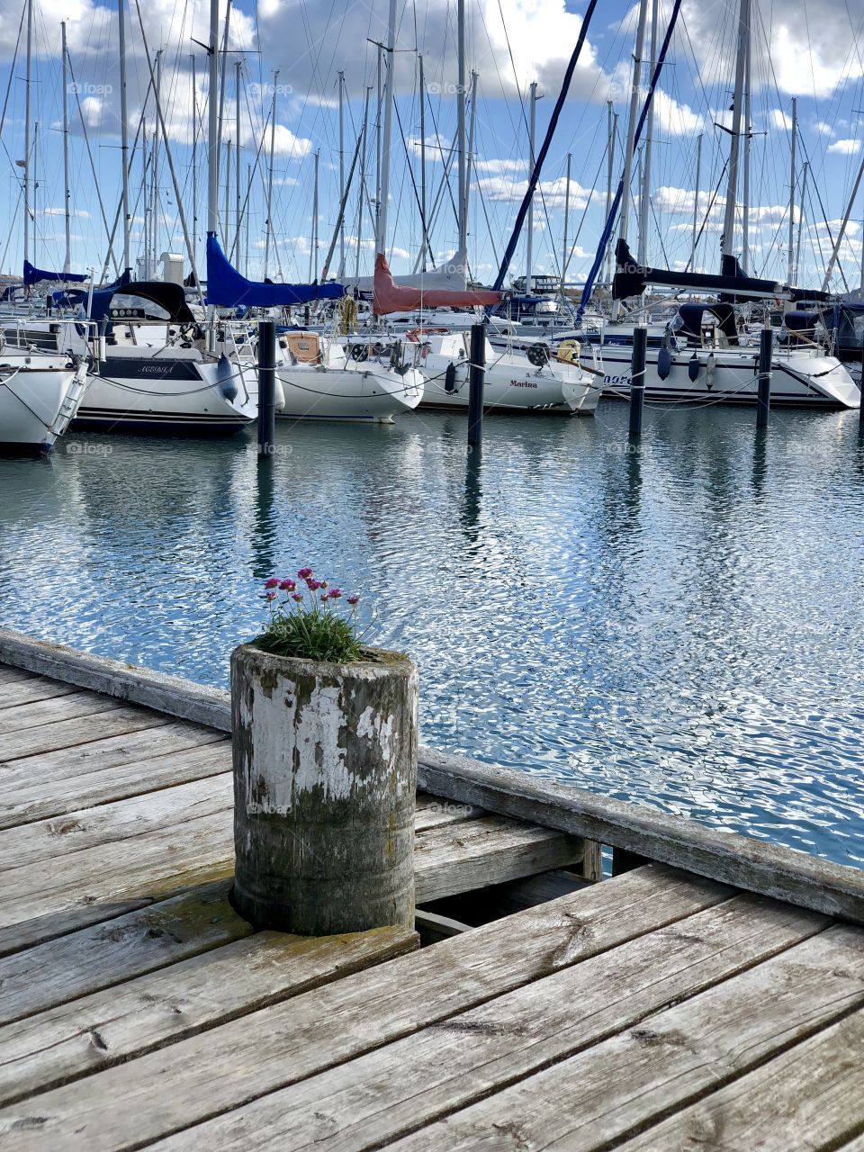 Öckerö harbour 