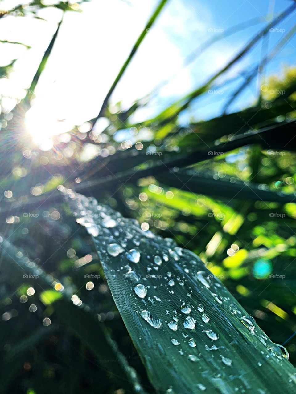 After the Rain