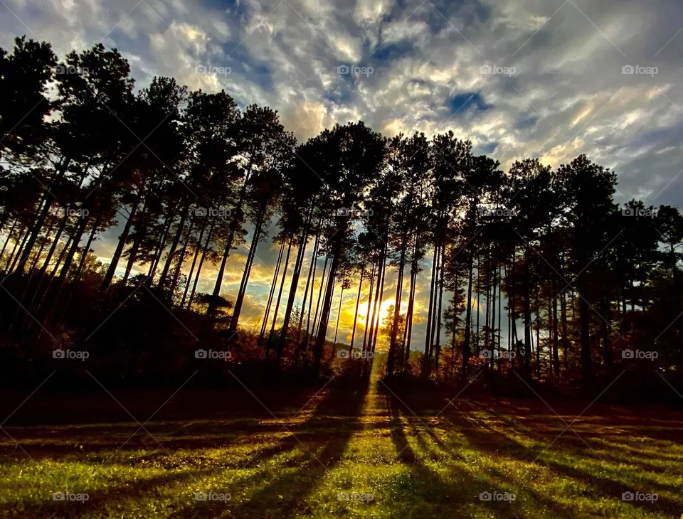 Sunset 