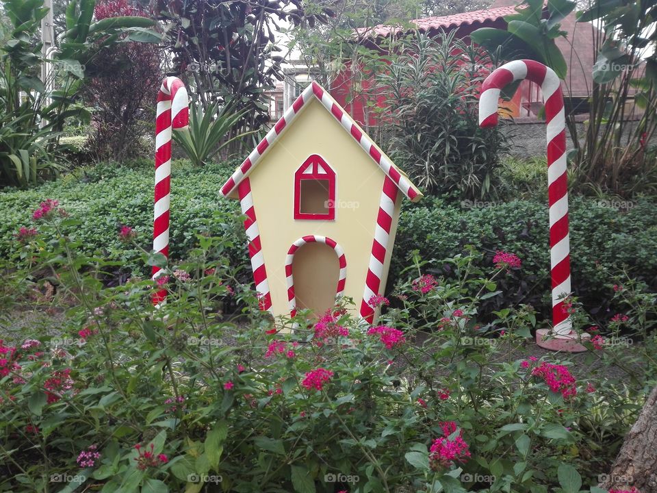 christmas elves cottage