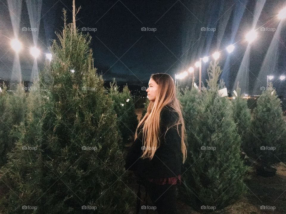 Christmas Tree Farm pt.3 