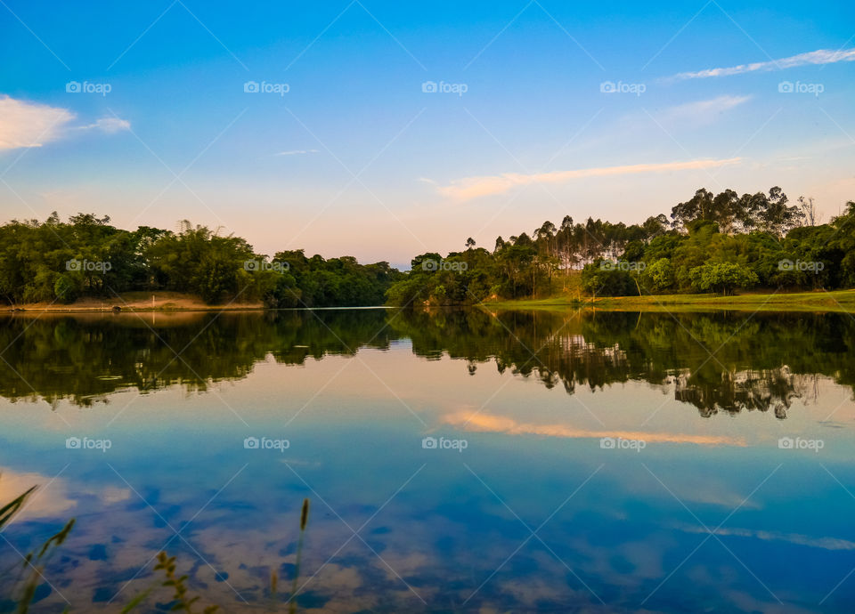 Scenic view of lake and trees