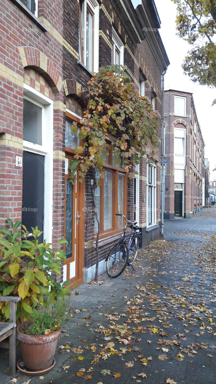 old city of utrecht in autumn, netherlands