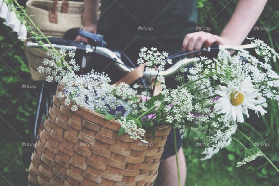 Out with my bike . Out with my bike and picking summer flowers 