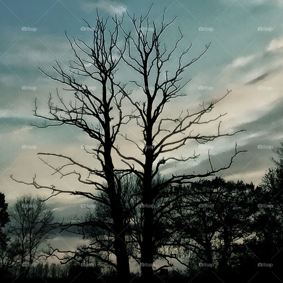 Biosphere doesn’t need the human speciesism 