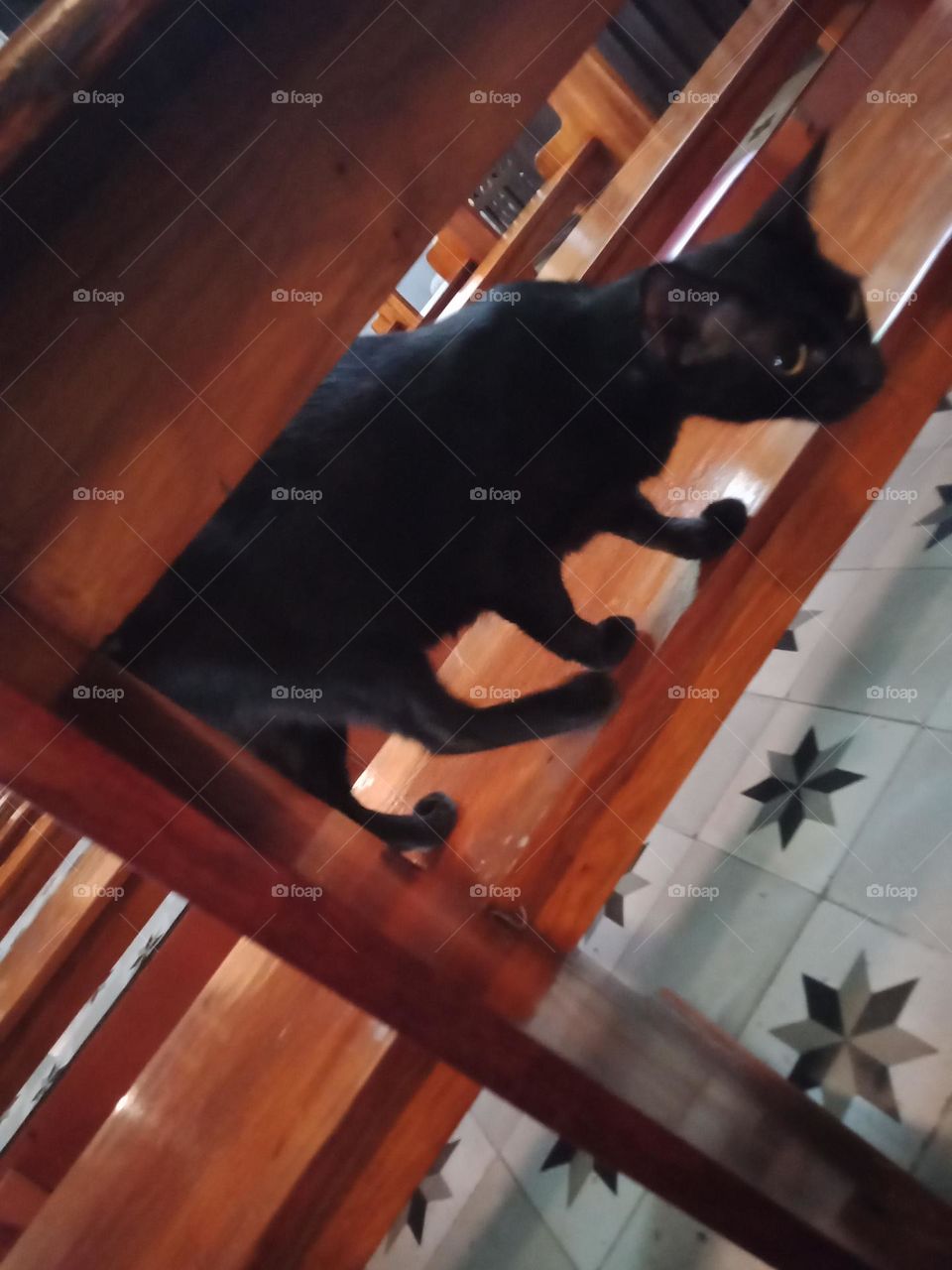 Anger is an intense emotions we feel when something has gone wrong or someone has wronged us It is typically characterized by feelings of stress, frustration, & irritation.Black cats are just like other cats. They can be loving and sweet or demanding