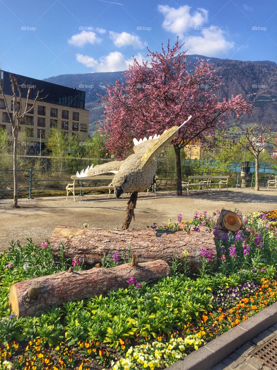 Springtime in Merano 