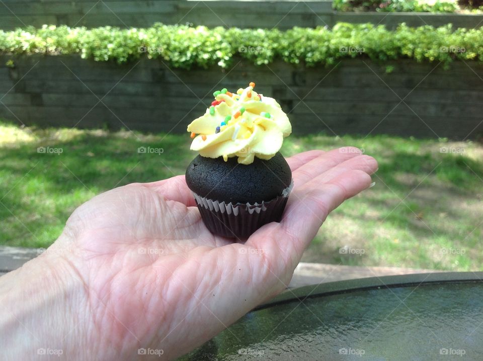 Holding a mini Chocolate cupcake with rainbow colored sprinkles.