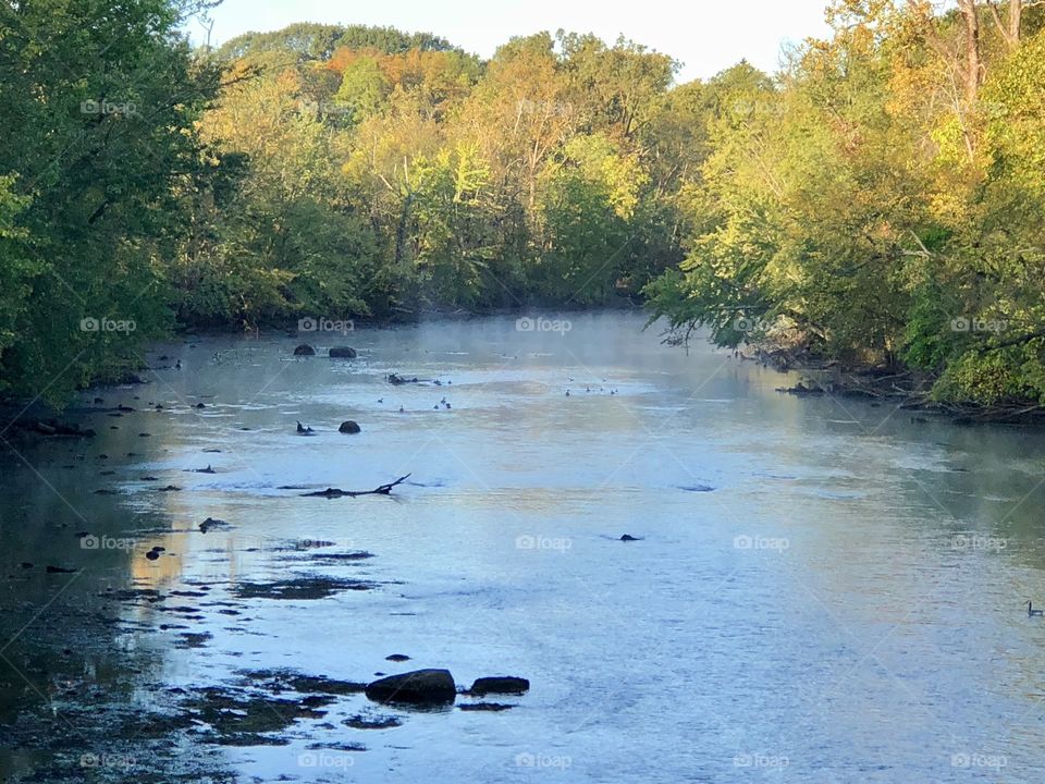 Foggy river