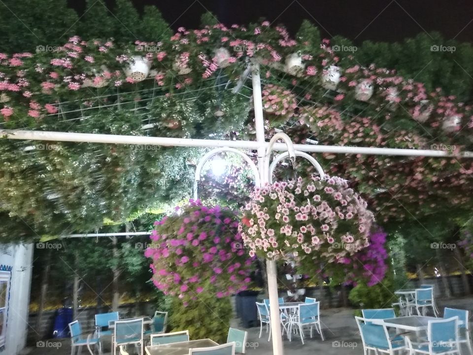 Dubai Miracle Garden Food Court