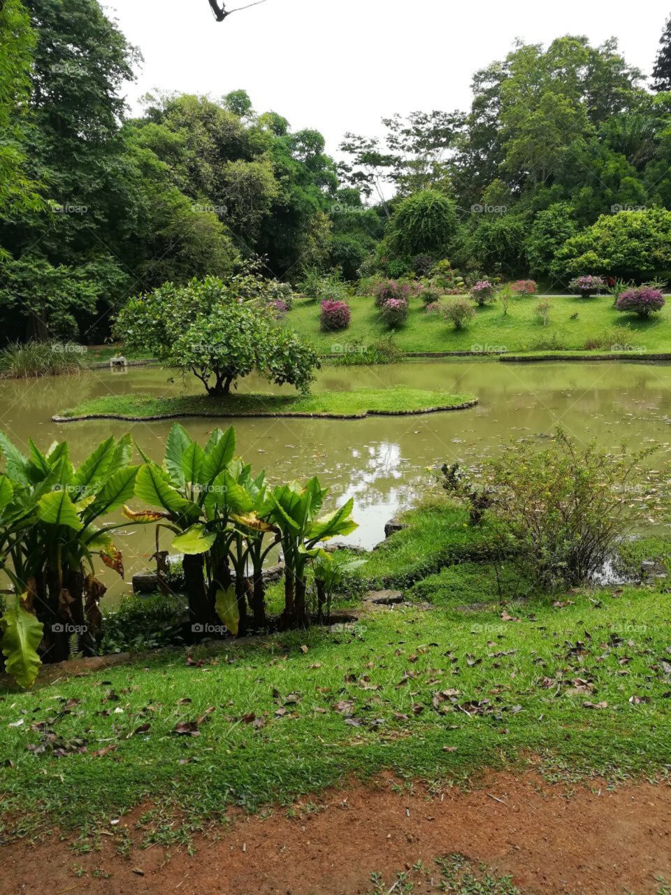 Wanna live in this small island😅