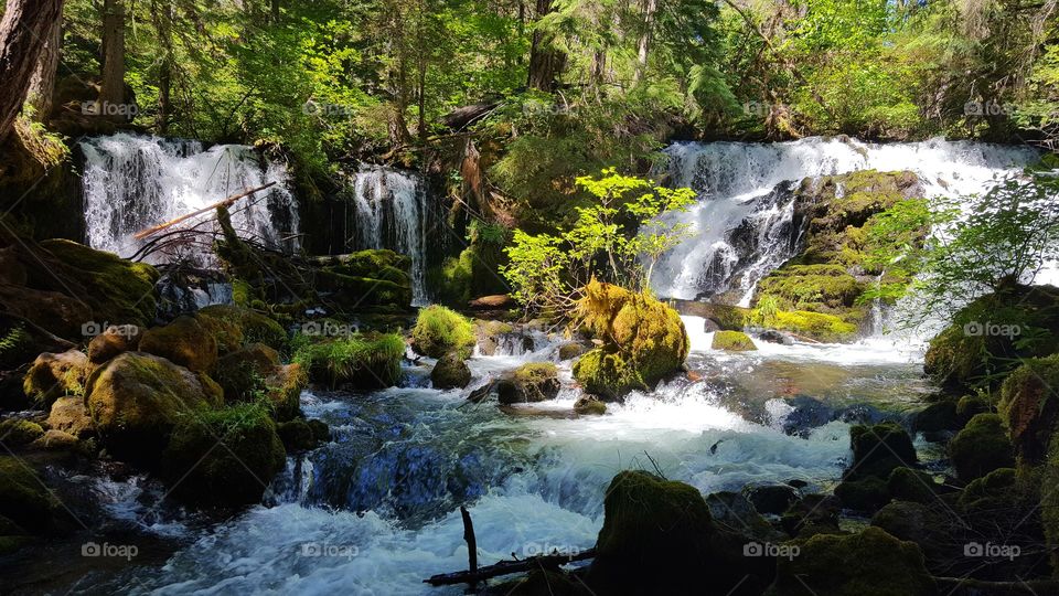 Pearsony Falls