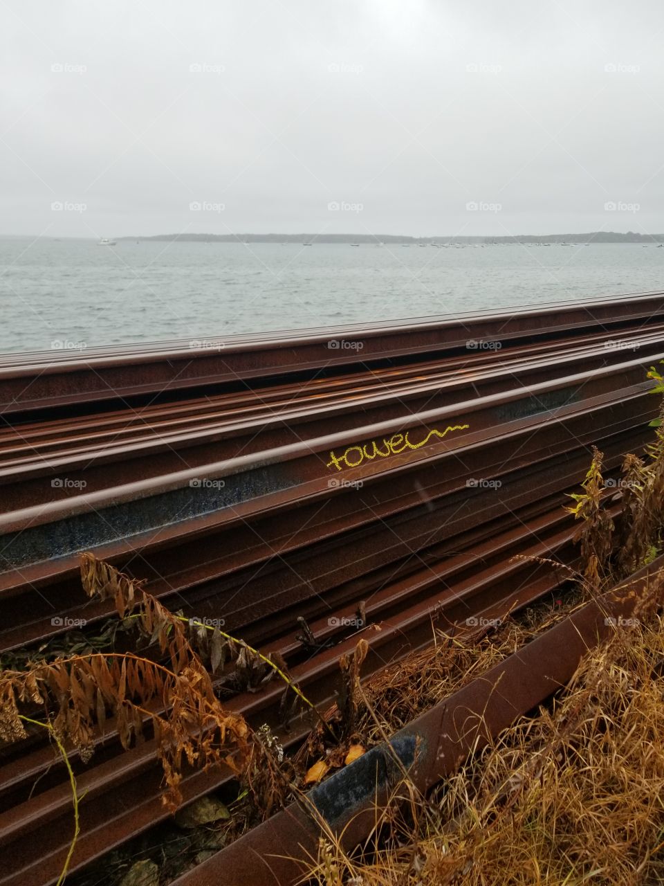 the tracks near the ocean on a rainy afternoon