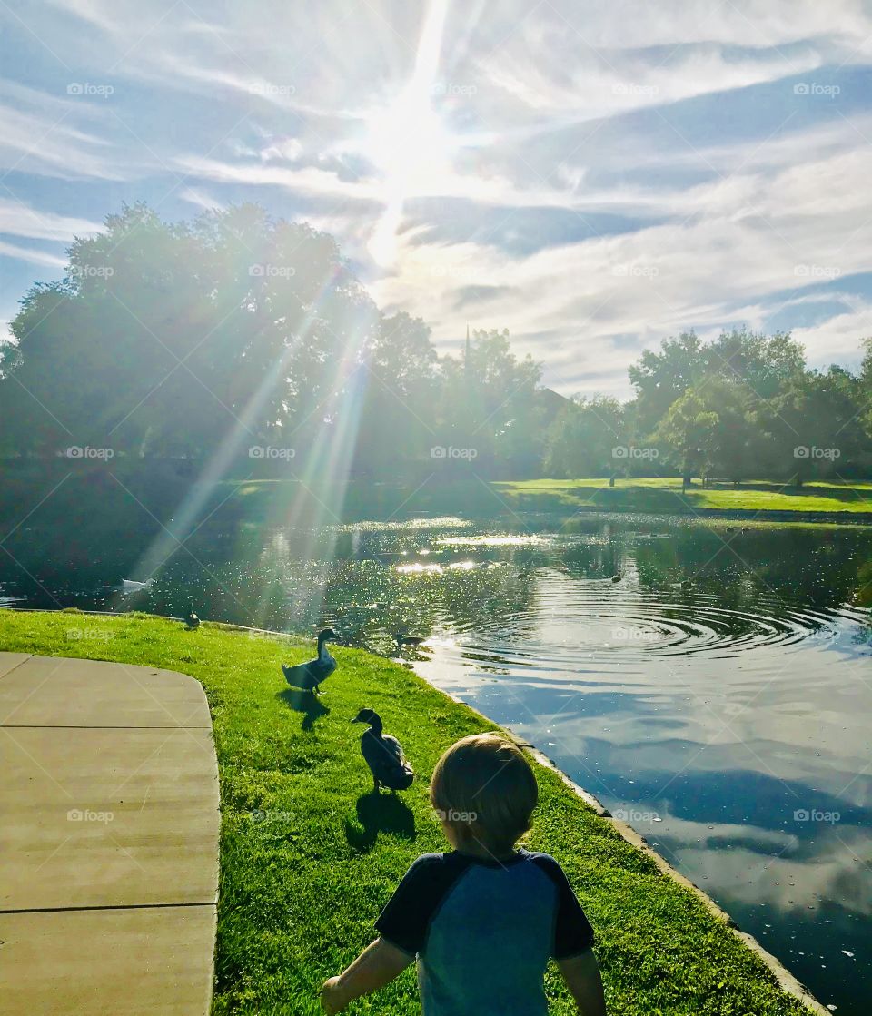 My son visiting his favorite duck spot at Nancy Lewis Park on an early summer morning. It’s a beautiful park for walks and has a great playground for kids