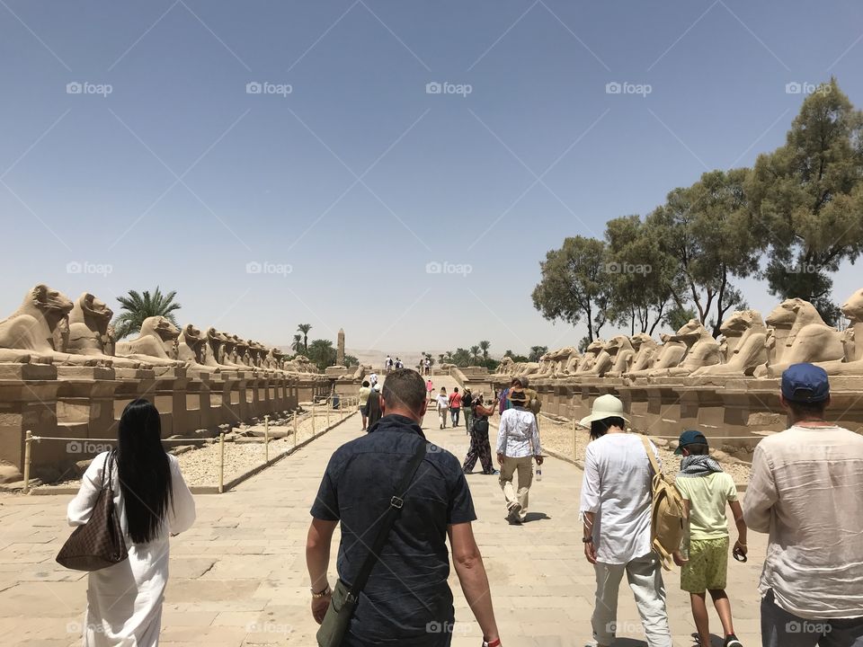 A boy going through Avenue of the Sphinxes.