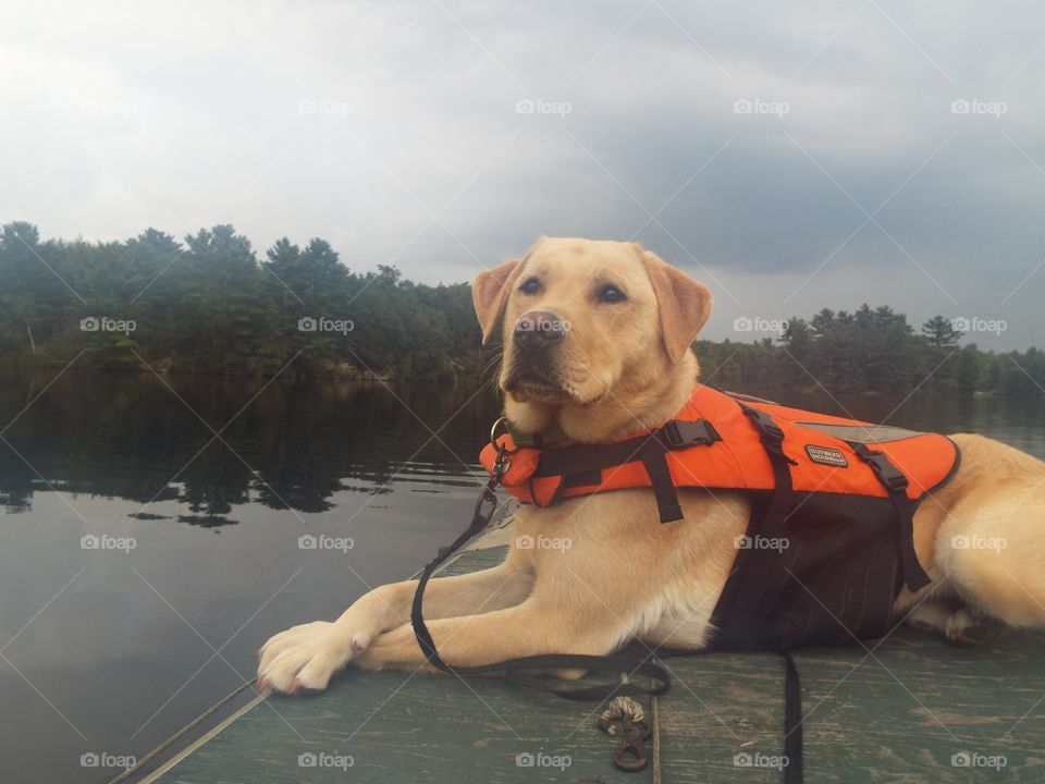 Marley Boating