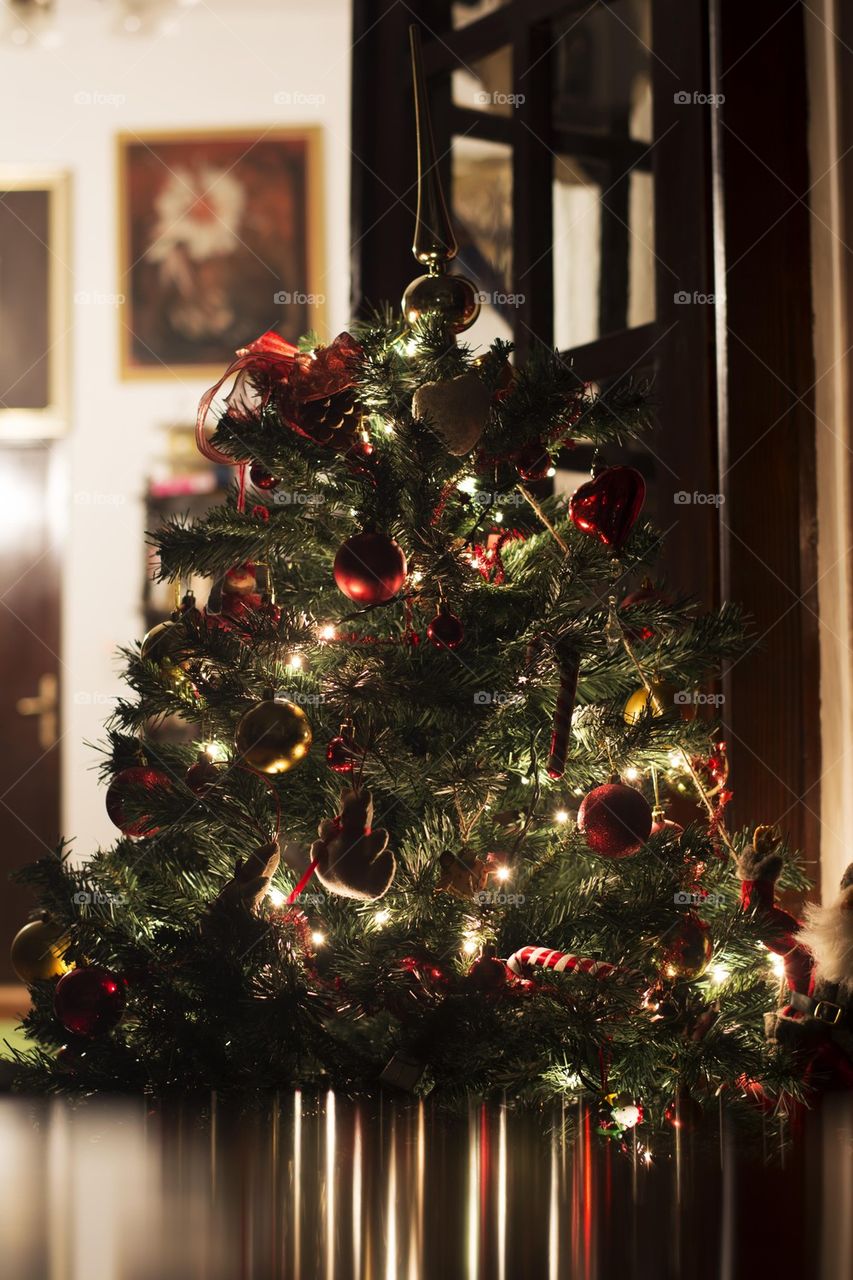 reflection of a christmas tree