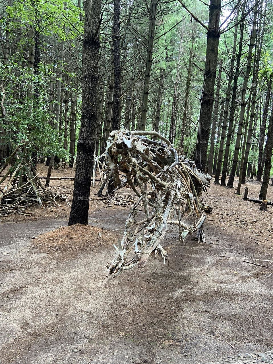 Dinosaur made from tree branches that a local artist made in the woods of Allaire State Park. This is one if my favorite places to walk. Everyone loves it, especially the children. Magical! 